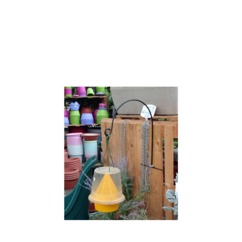 Shavtieli product image